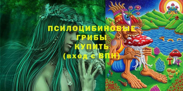 дурь Семикаракорск