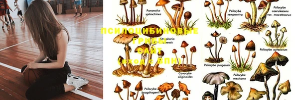 соль ск Козельск