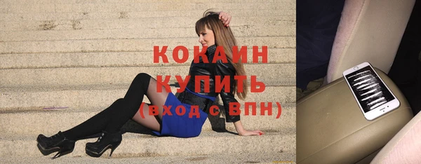 соль ск Козельск